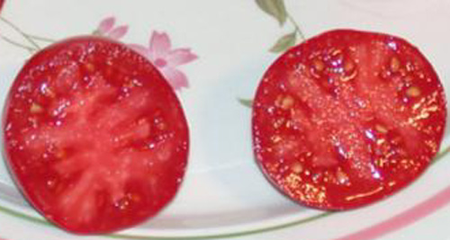 Vertus tomates anciennes - pépinière biodynamique - Plants Demeter - Plants bio - La Ferme BioLing
