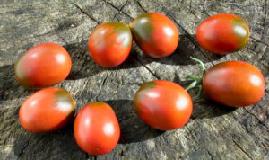 Plants bio tomates variétés anciennes La Ferme Bioling