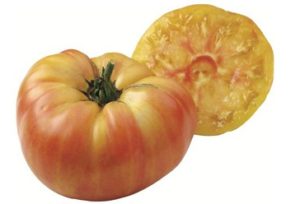 Ananas tomates anciennes pépinière de variétés anciennes bio plants Demeter Bioling2