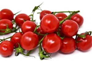 St-pierre-saint-pierre-tomates-anciennes-pépinière-de-variétés-anciennes-bio-plants-Demeter-Bioling