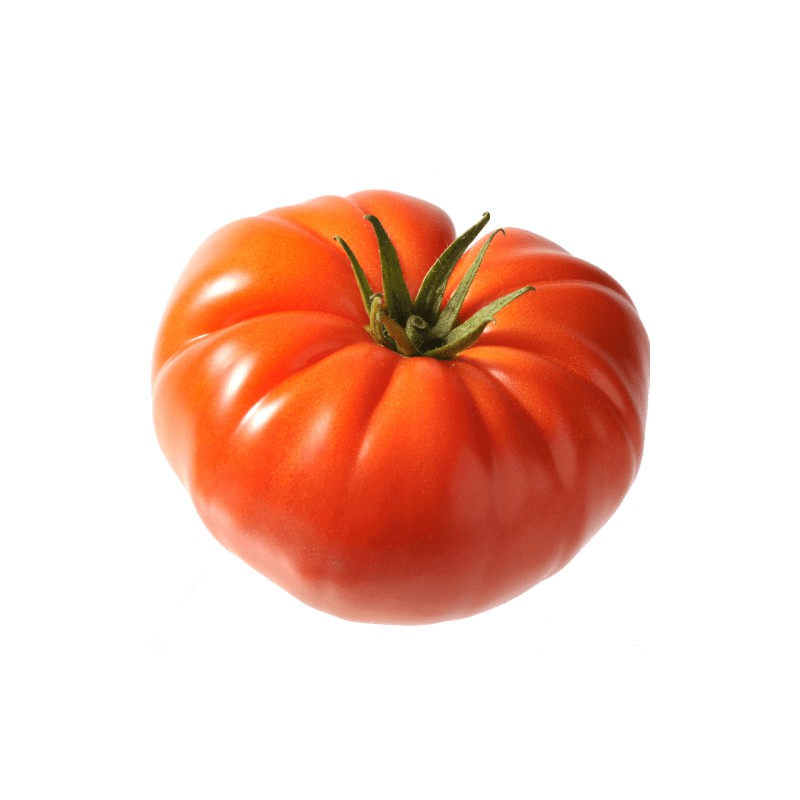 Tomates marmande tomates anciennes pépinière de variétés anciennes bio Demeter Bioling