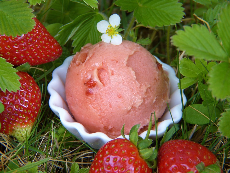 glace a la fraise pépinière de variétés anciennes bio Demeter Bioling